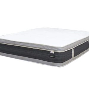 Dreamster Providence Pocketed Spring Mattress